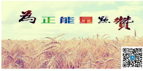 團隊正能量與責任