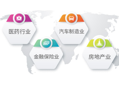 管理咨詢行業方案