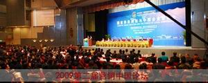 譚小芳受邀2009營銷中國論壇